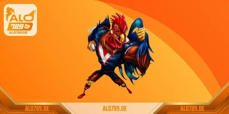 Luật đá gà miền Bắc và bí quyết để trở thành sư kê thực thụ 3 Bí quyết chăm sóc trước và sau trận