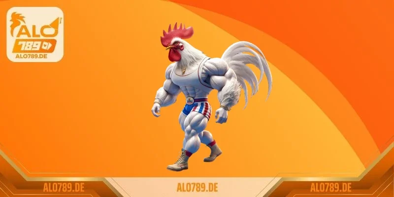 Đá gà ăn tiền và sức hấp dẫn khiến hàng triệu người say mê 3 Tìm hiểu về chiến kê trước khi đặt cược