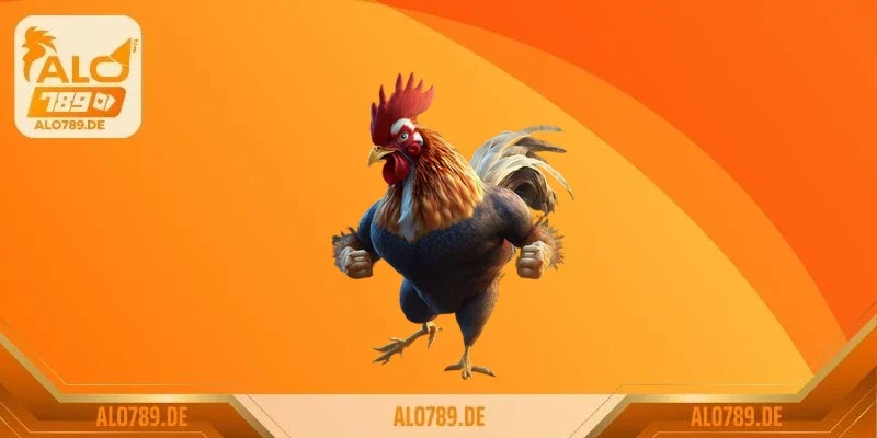 Top 10 giống gà đá hay nhất thế giới mà sư kê không thể bỏ qua