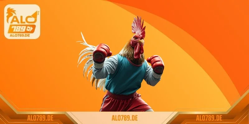 Nguồn gốc và đặc điểm của gà mặt quỷ