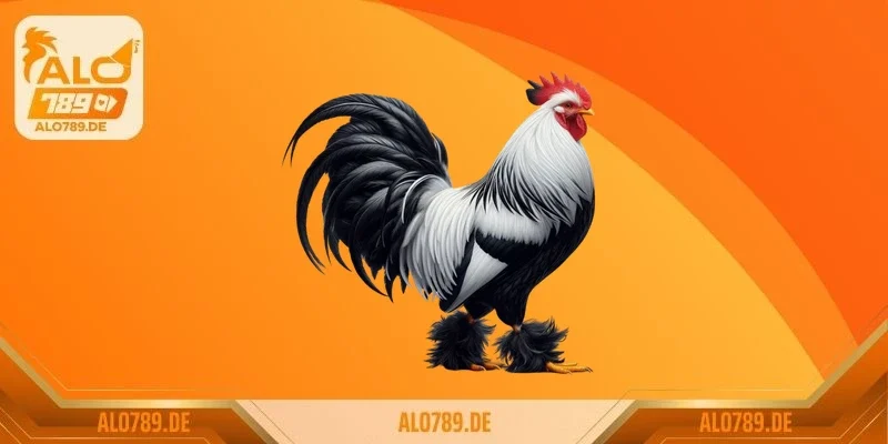 Trận đá gà 50 tỷ