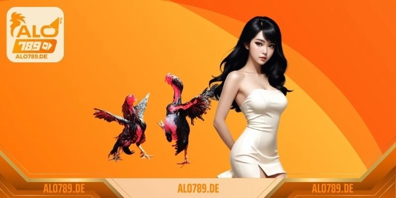 Giới thiệu ALO789 2 Bảo mật tối ưu, an toàn tuyệt đối