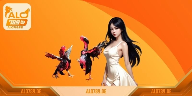 Giới thiệu ALO789 3 Giới thiệu ALO789 cùng những ưu đãi độc nhất