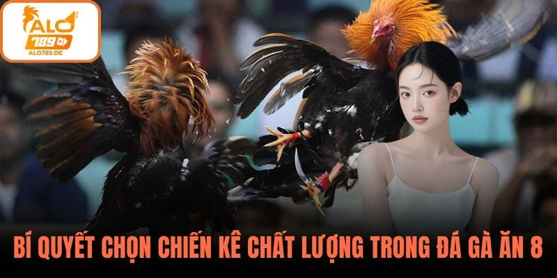 Đá Gà Ăn 8 – Đấu Trường Kịch Tính Quy Tụ Chiến Kê Đỉnh Cao Tại ALO789 3 Bí quyết chọn chiến kê chất lượng trong đá gà ăn 8