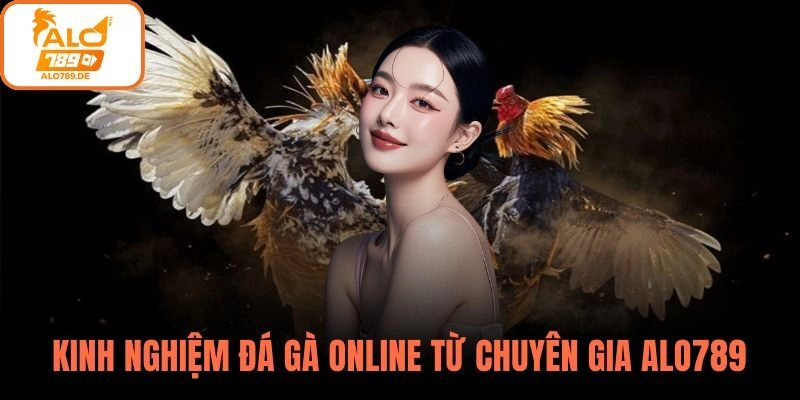 Những kinh nghiệm đá gà online luôn thắng từ chuyên gia ALO789