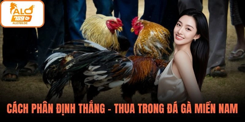 Cách phân định thắng – thua trong đá gà miền Nam